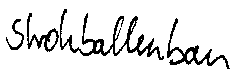 Strohballenbau